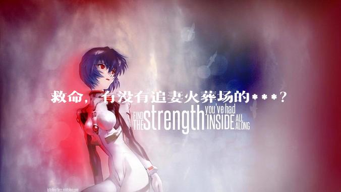 救命，有没有追妻火葬场的***？