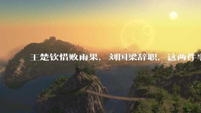 王楚钦惜败雨果，刘国梁辞职，这两件事有必然联系吗？